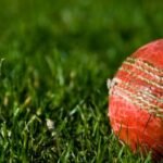 Modderguy Cricket Live Your Arena for Free Online Matches