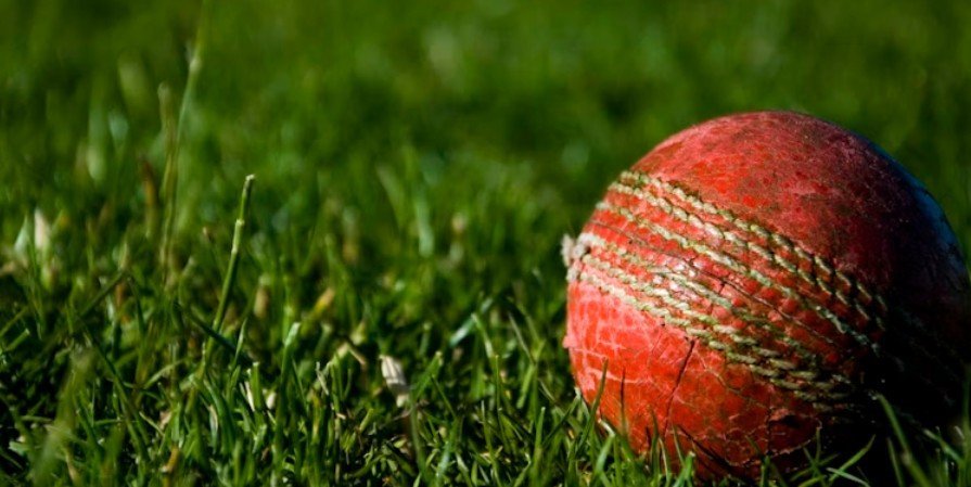 Modderguy Cricket Live Your Arena for Free Online Matches