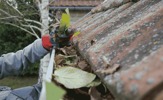 Autumn Tasks Winter Proofing